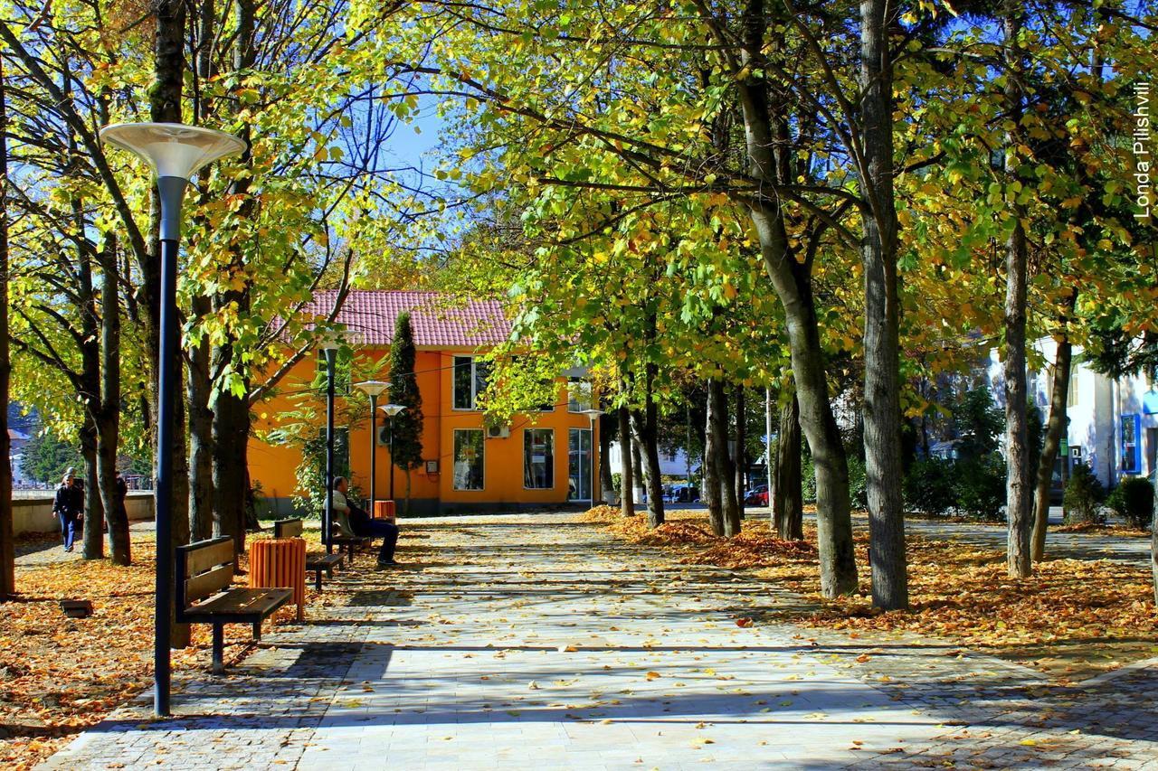 Our House Hotell Borjomi Exteriör bild